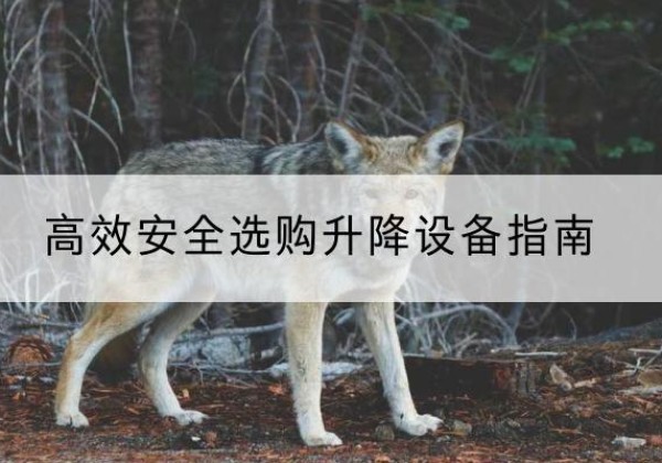 栾城升降货梯厂家推荐-*安全选购升降设备指南