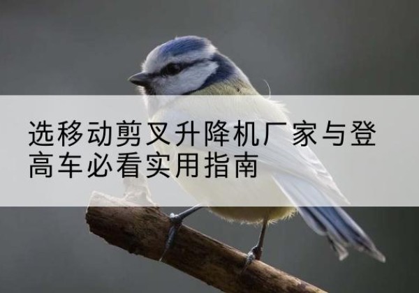 栾城电动升降机厂家-选移动剪叉升降机厂家与登高车必看实用指南